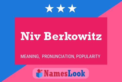 Póster del nombre Niv Berkowitz