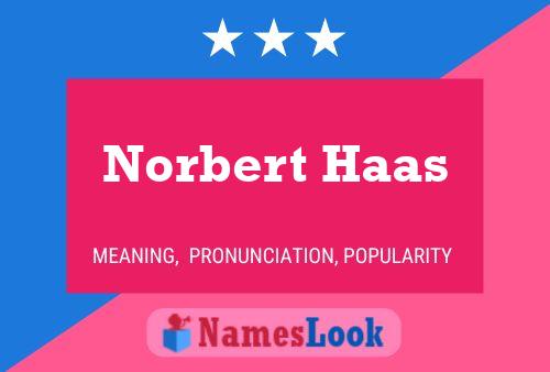 Póster del nombre Norbert Haas