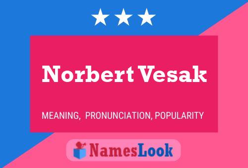 Póster del nombre Norbert Vesak