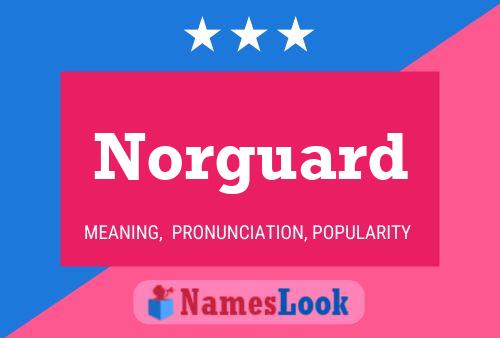 Póster del nombre Norguard