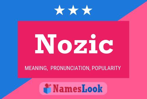 Póster del nombre Nozic