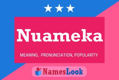 Póster del nombre Nuameka