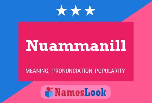 Póster del nombre Nuammanill