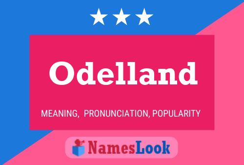 Póster del nombre Odelland