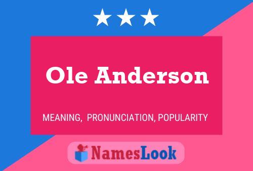 Póster del nombre Ole Anderson