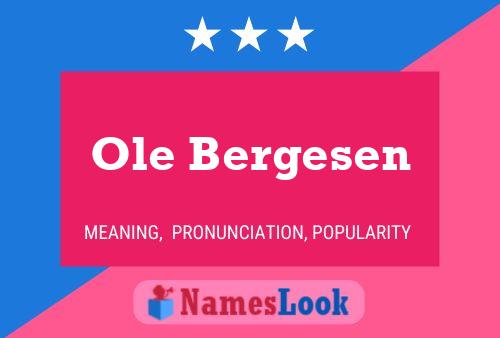 Póster del nombre Ole Bergesen