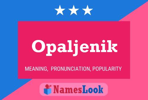 Póster del nombre Opaljenik