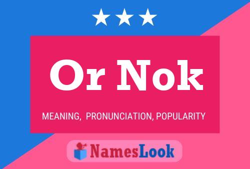 Póster del nombre Or Nok