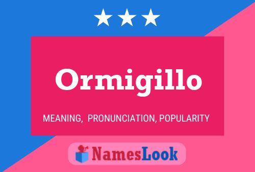 Póster del nombre Ormigillo