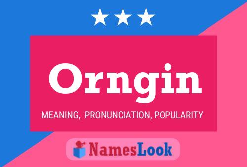 Póster del nombre Orngin