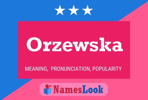 Póster del nombre Orzewska