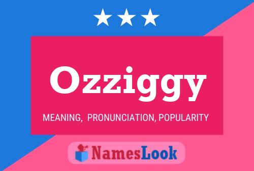 Póster del nombre Ozziggy