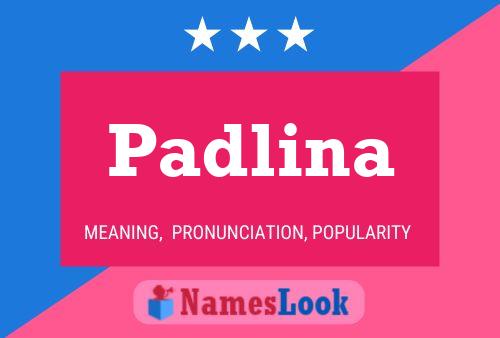 Póster del nombre Padlina