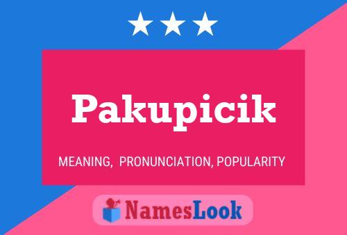 Póster del nombre Pakupicik