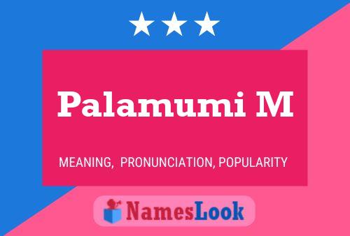 Póster del nombre Palamumi M