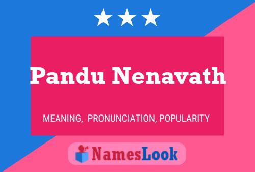 Póster del nombre Pandu Nenavath