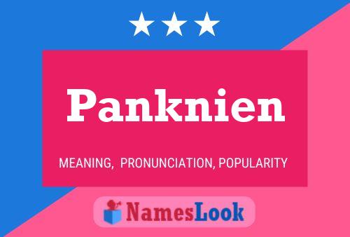 Póster del nombre Panknien