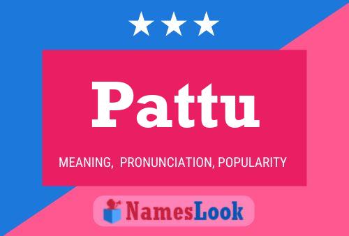 Póster del nombre Pattu