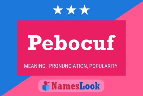 Póster del nombre Pebocuf