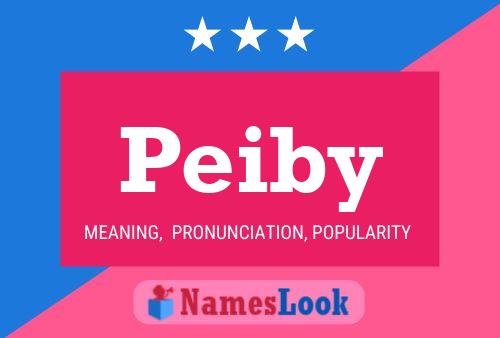 Póster del nombre Peiby