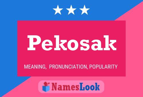 Póster del nombre Pekosak