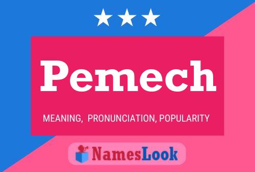 Póster del nombre Pemech