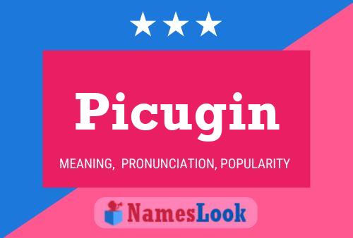 Póster del nombre Picugin