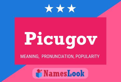 Póster del nombre Picugov