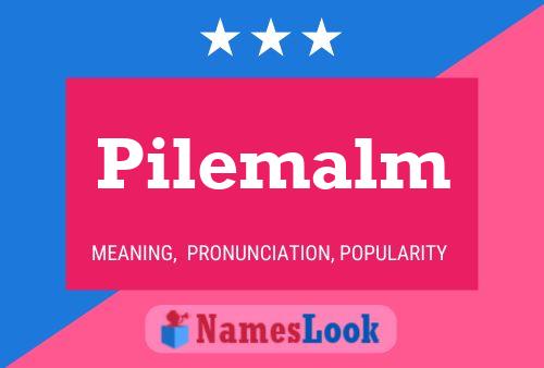 Póster del nombre Pilemalm