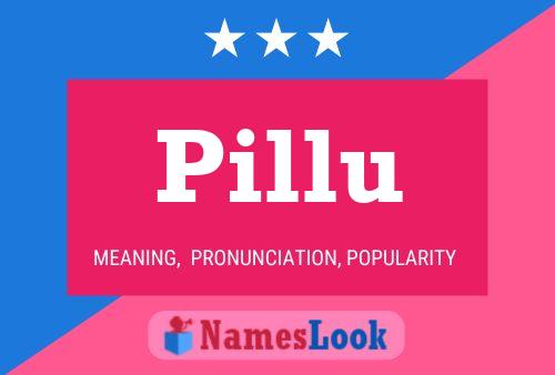 Póster del nombre Pillu