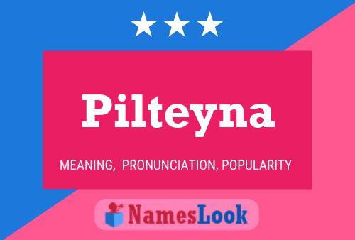 Póster del nombre Pilteyna