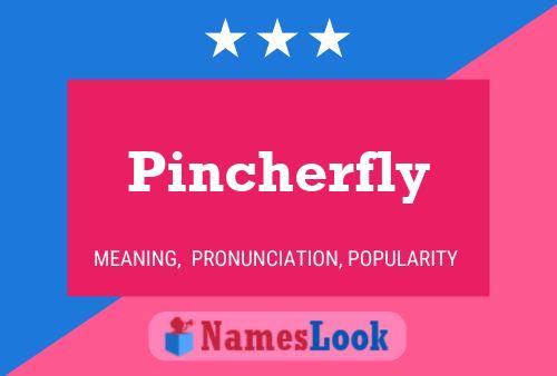 Póster del nombre Pincherfly