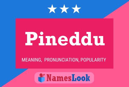 Póster del nombre Pineddu