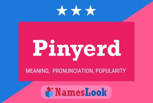 Póster del nombre Pinyerd