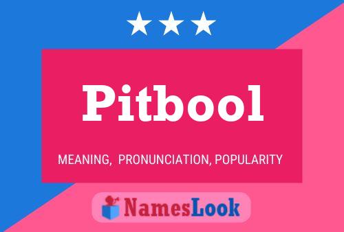 Póster del nombre Pitbool