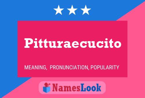 Póster del nombre Pitturaecucito