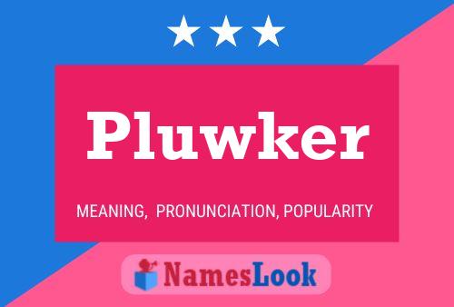 Póster del nombre Pluwker