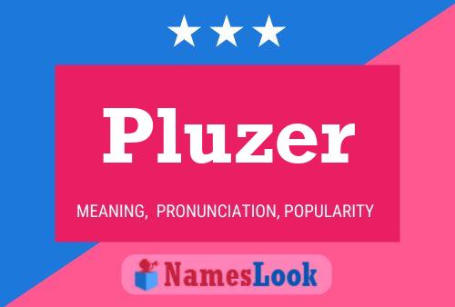 Póster del nombre Pluzer