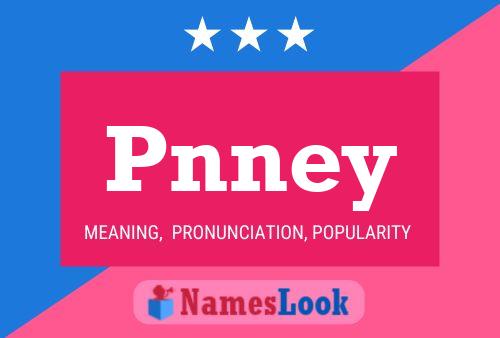 Póster del nombre Pnney