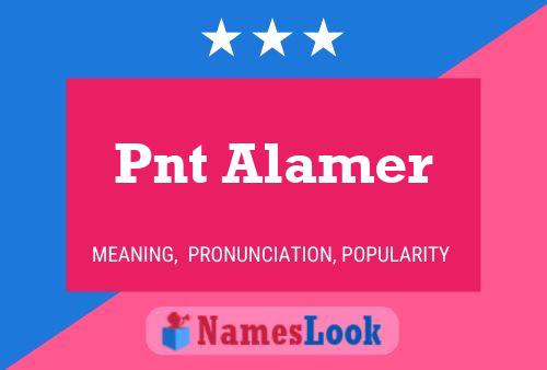 Póster del nombre Pnt Alamer