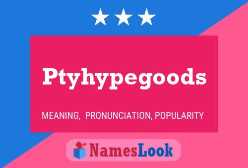 Póster del nombre Ptyhypegoods