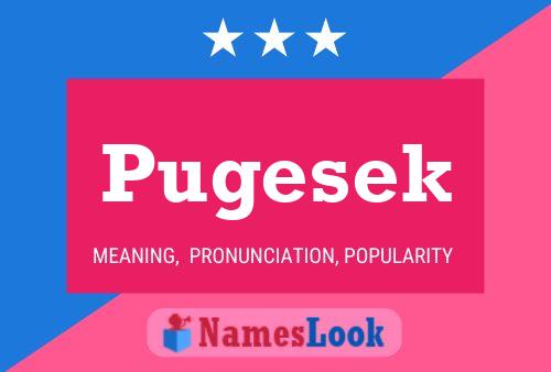 Póster del nombre Pugesek