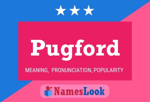 Póster del nombre Pugford