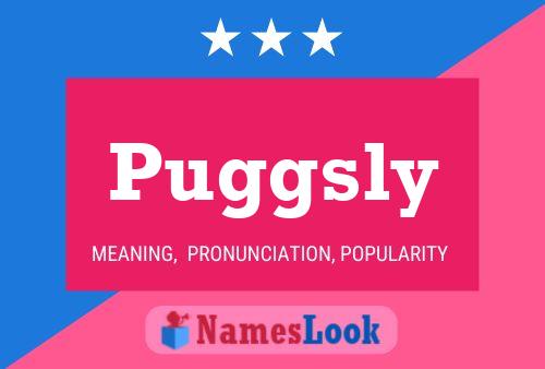 Póster del nombre Puggsly