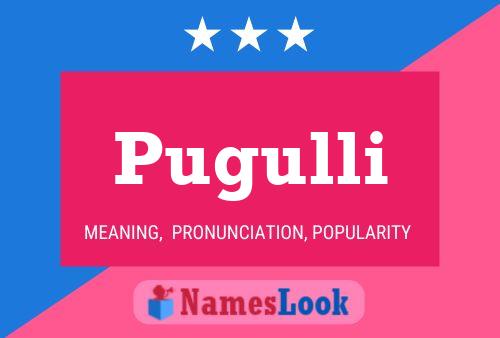 Póster del nombre Pugulli