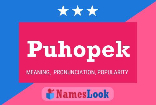 Póster del nombre Puhopek