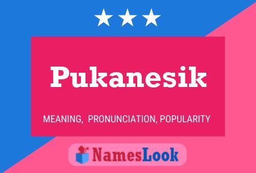 Póster del nombre Pukanesik