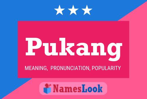 Póster del nombre Pukang