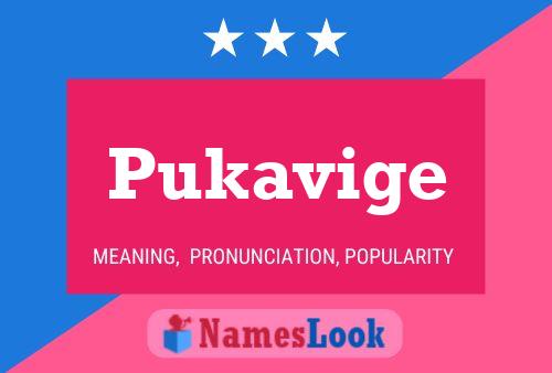 Póster del nombre Pukavige