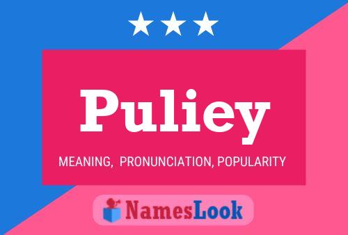 Póster del nombre Puliey